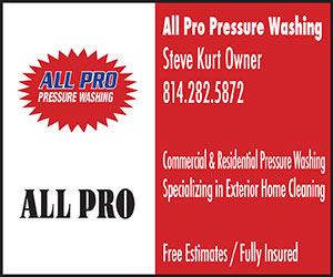All Pro Pressure Washing